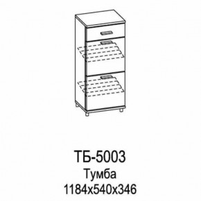 Тумба ТБ-5003 Грейс в Междуреченском - mezhdurechenskij.mebel-tymen.ru | фото
