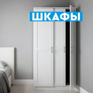 Шкафы в Междуреченском - фото